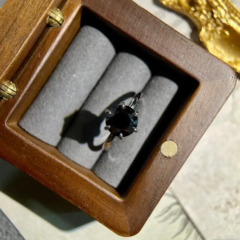 /public/photos/live/27 (5).webp